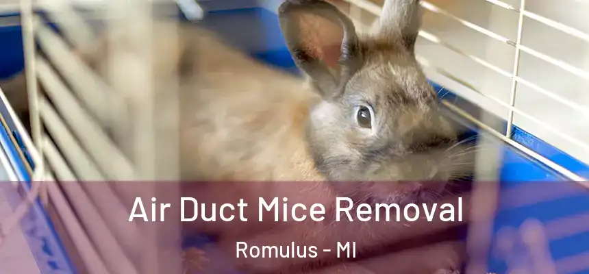 Air Duct Mice Removal Romulus - MI