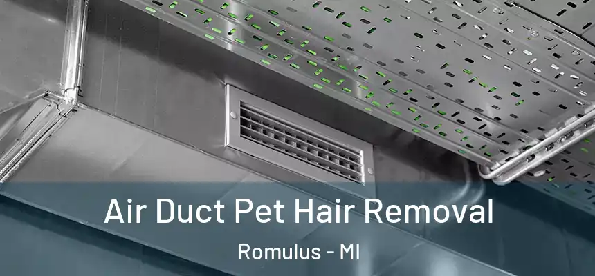  Air Duct Pet Hair Removal Romulus - MI