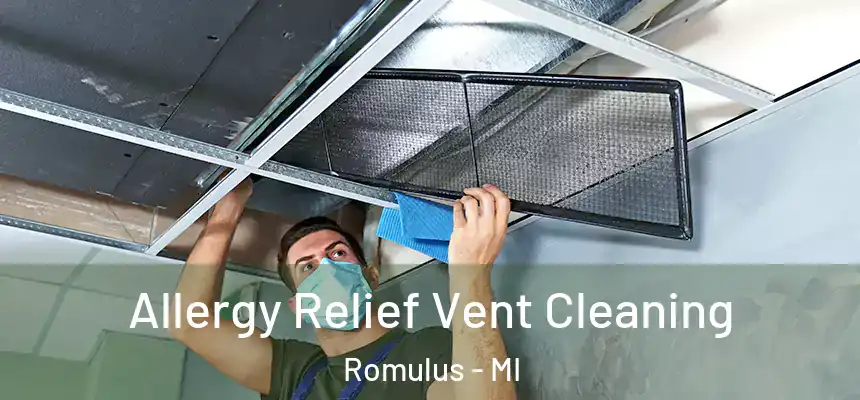  Allergy Relief Vent Cleaning Romulus - MI