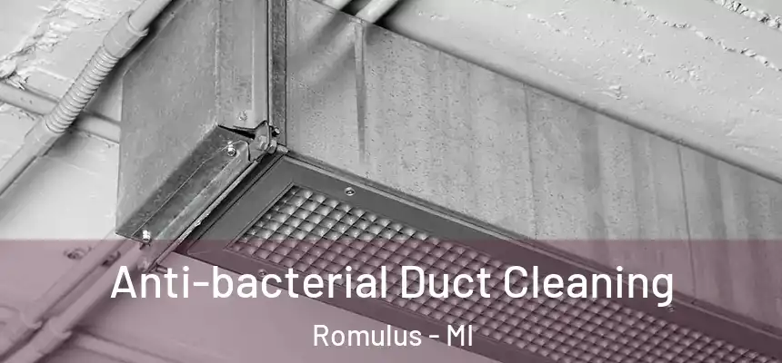  Anti-bacterial Duct Cleaning Romulus - MI