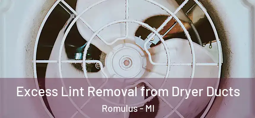 Excess Lint Removal from Dryer Ducts Romulus - MI
