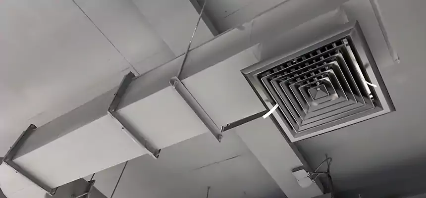 Our Pest Removal From Ducts Services in Romulus, MI