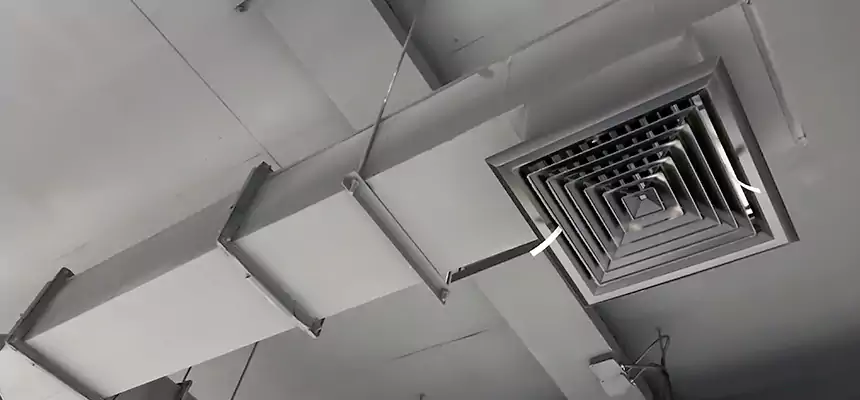 Our Rodent Droppings In Vents Services in Romulus, MI