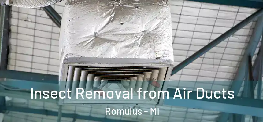  Insect Removal from Air Ducts Romulus - MI