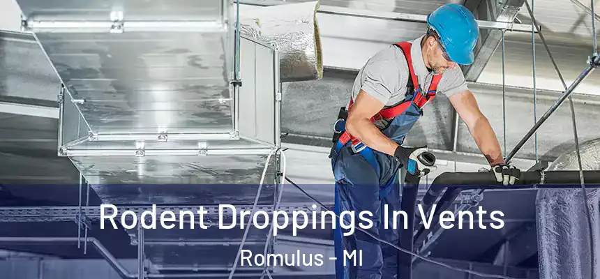  Rodent Droppings In Vents Romulus - MI