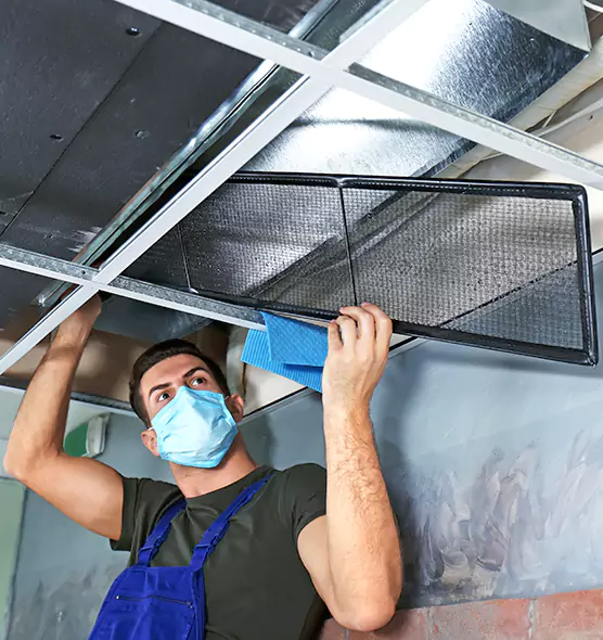 About Air Duct Bacteria Removal in Romulus