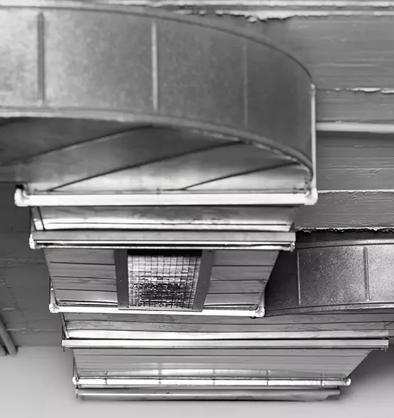 Professional Air Duct Pet Hair Removal in Romulus, MI