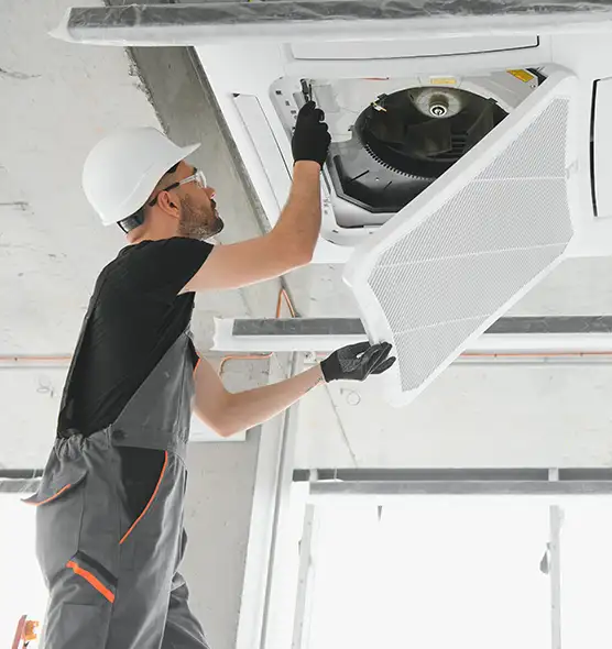 About Air Duct Rodent Removal in Romulus, MI