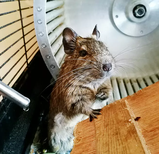 Why Homeowners & Businesses Trust Us Romulus, MI?