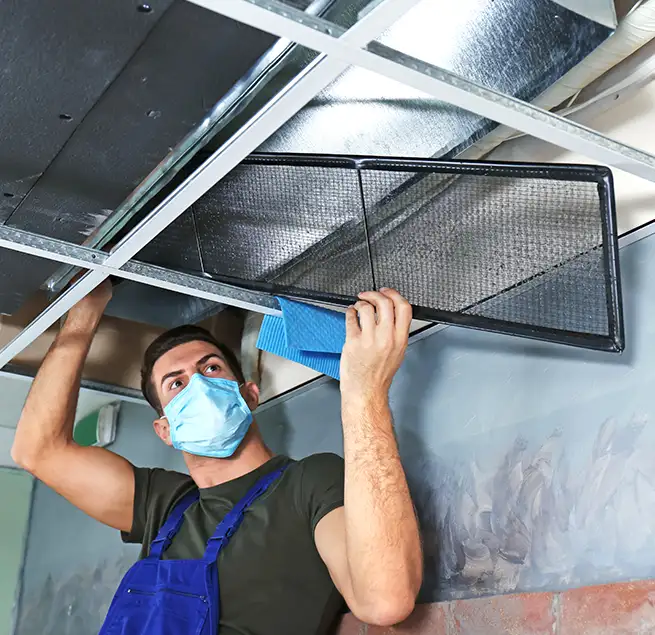 Why Homeowners & Businesses Trust Us in Romulus, MI?