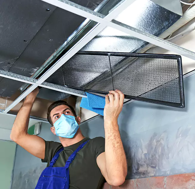 Why Homeowners & Businesses Trust Us in Romulus, MI?